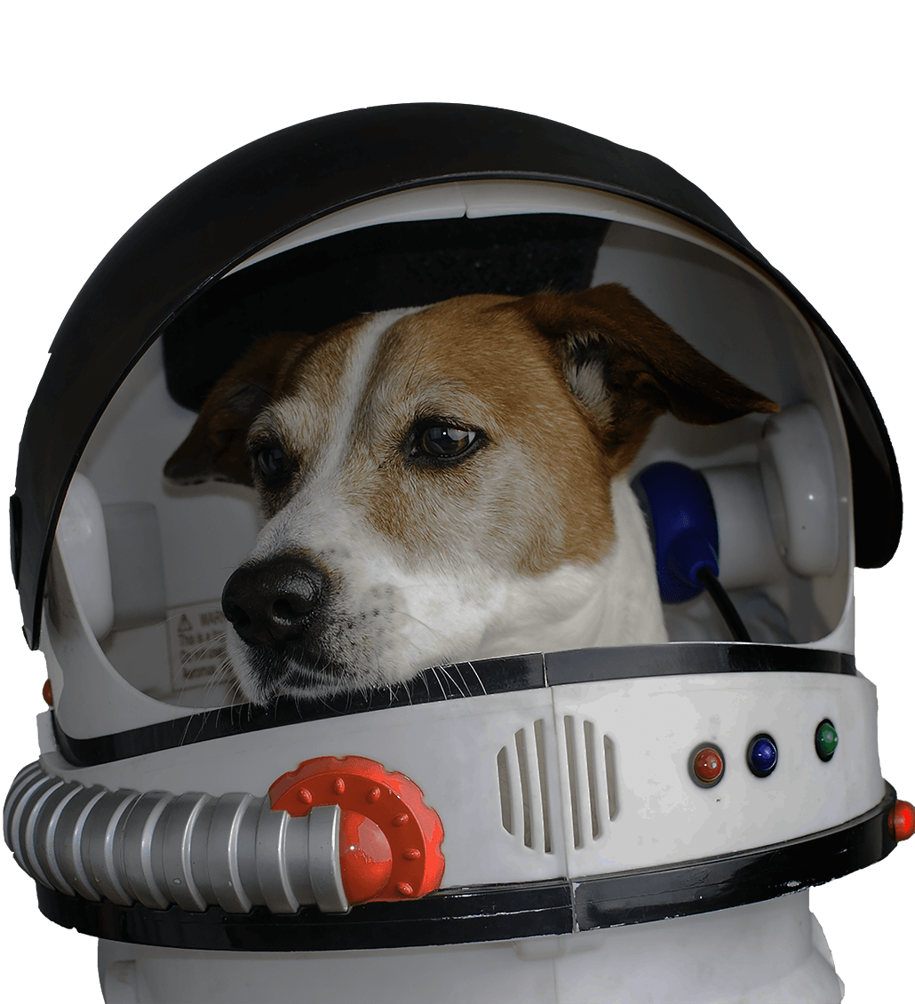 Astro Dog